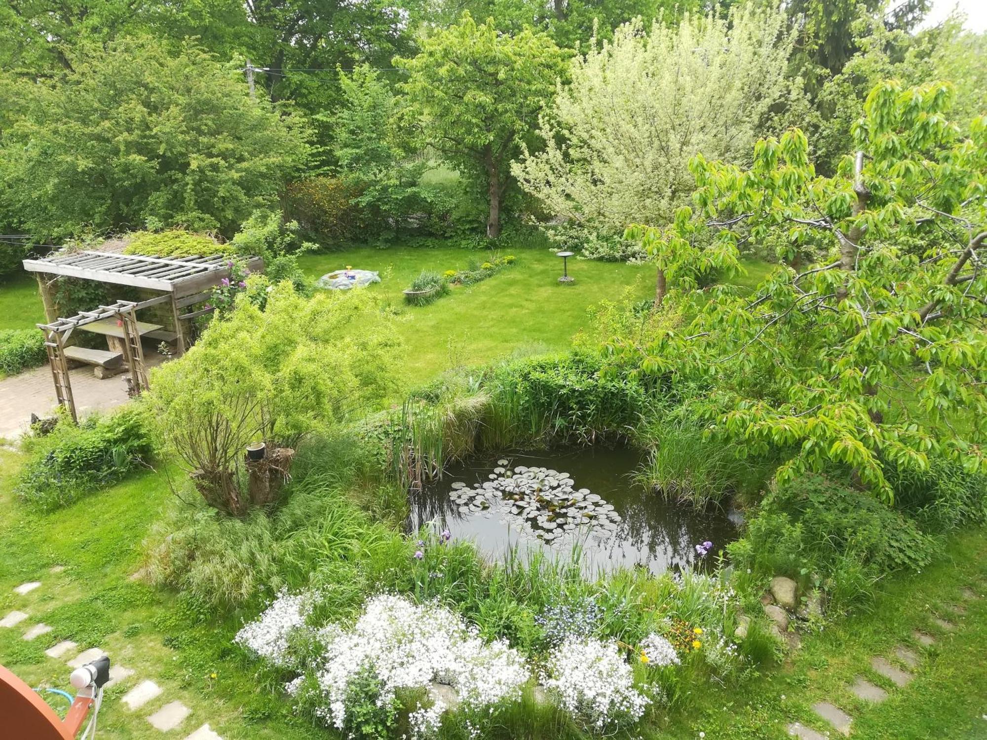 Ferien In Der Scheune Dettmannsdorf Dış mekan fotoğraf